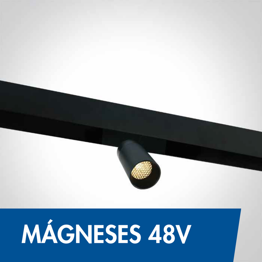 magnese_48V