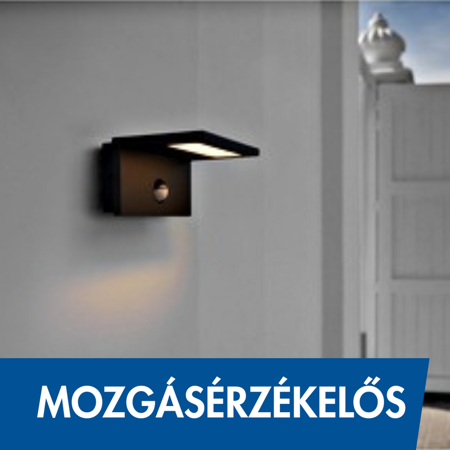 mozgaserzekelos