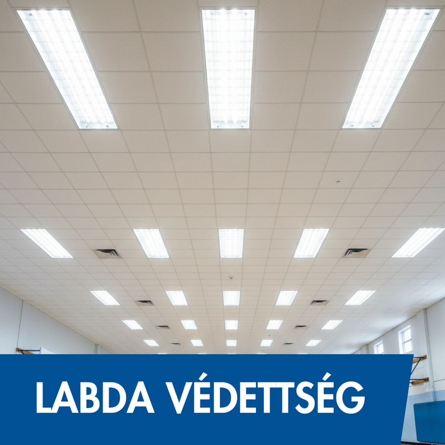 labda_vedett